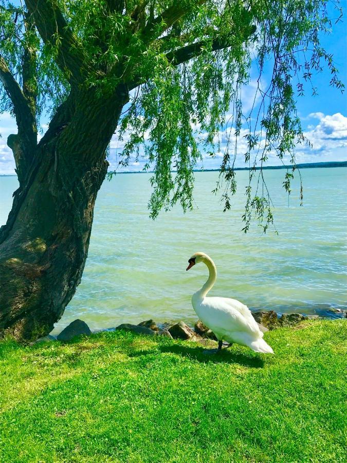 Lavender Cottage Balatongyörök エクステリア 写真